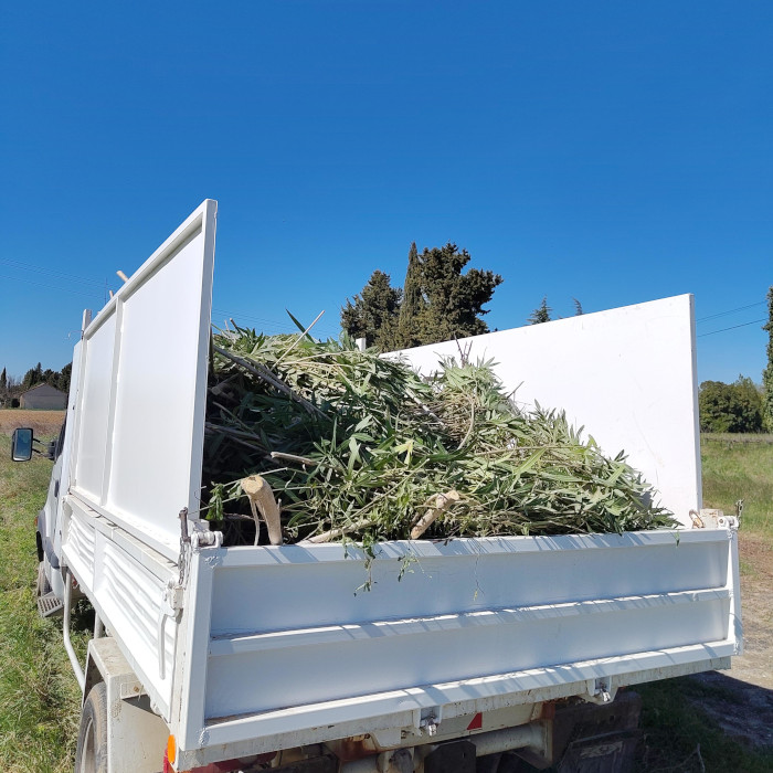 Évacuation de déchets verts